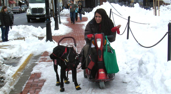 Young adult in a motorized wheel chair with her service dog, struggles to navigate the poorly plowed streets.