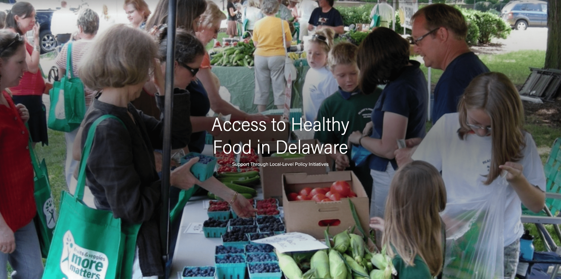 Access to Healthy Food in Delaware: Support Through Local-Level Policy Initiatives