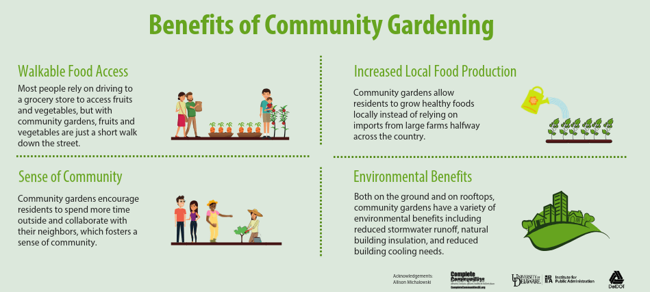 This is an infographic illustrating four major benefits of community gardening. The first benefit is increased local food production. Community gardens allow residents to grow healthy foods locally instead of relying on imports from large farms halfway across the country. The second benefit is walkable food access. Most people rely on driving to a grocery store to access fruits and vegetables, but with community gardens, fruits and vegetables are just a short walk down the street. The third benefit is a sense of community. Community gardens encourage residents to spend more time outside and collaborate with their neighbors, which fosters a sense of community. Lastly, community gardens have environmental benefits. Both on the ground and on rooftops, community gardens have a variety of environmental benefits including reduced stormwater runoff, natural building insulation, and reduced building cooling needs.