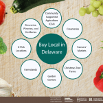 An infographic listing the types of organizations included in the Delaware Buy Local Guide. The Guide includes community supported agriculture, creameries, farmers' markets, breweries, wineries, distilleries, u-pick locations, farmstands, garden centers, and Christmas tree farms.