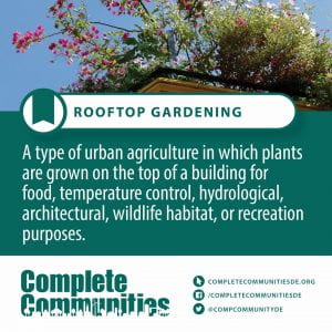 Rooftop Gardening. A type of urban agriculture in which plants are grown on the top of a building for food, temperature control, hydrological, architectural, wildlife habitat, or recreation purposes.