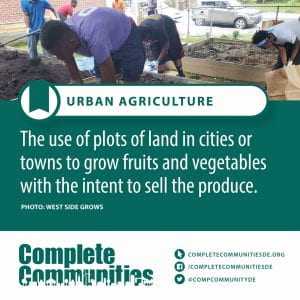 Urban Agriculture. The use of plots of land in cities or towns to grow fruits and vegetables with the intent to sell the produce.